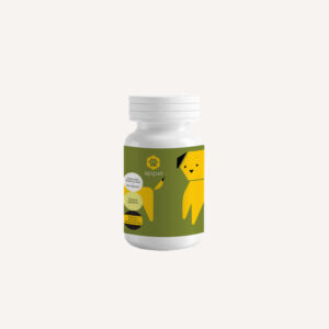 APIPETFLEXI60