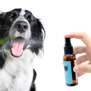ApiFresh Spray